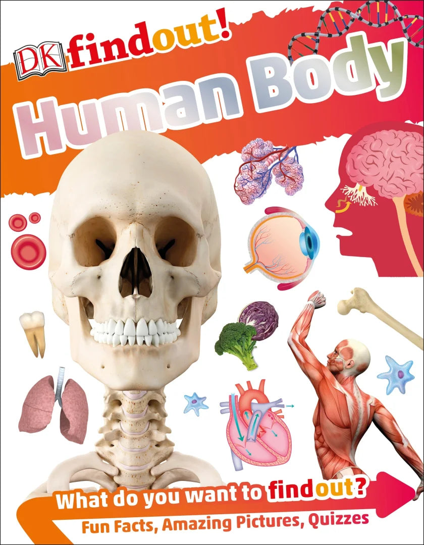 Book cover of DK Human Body