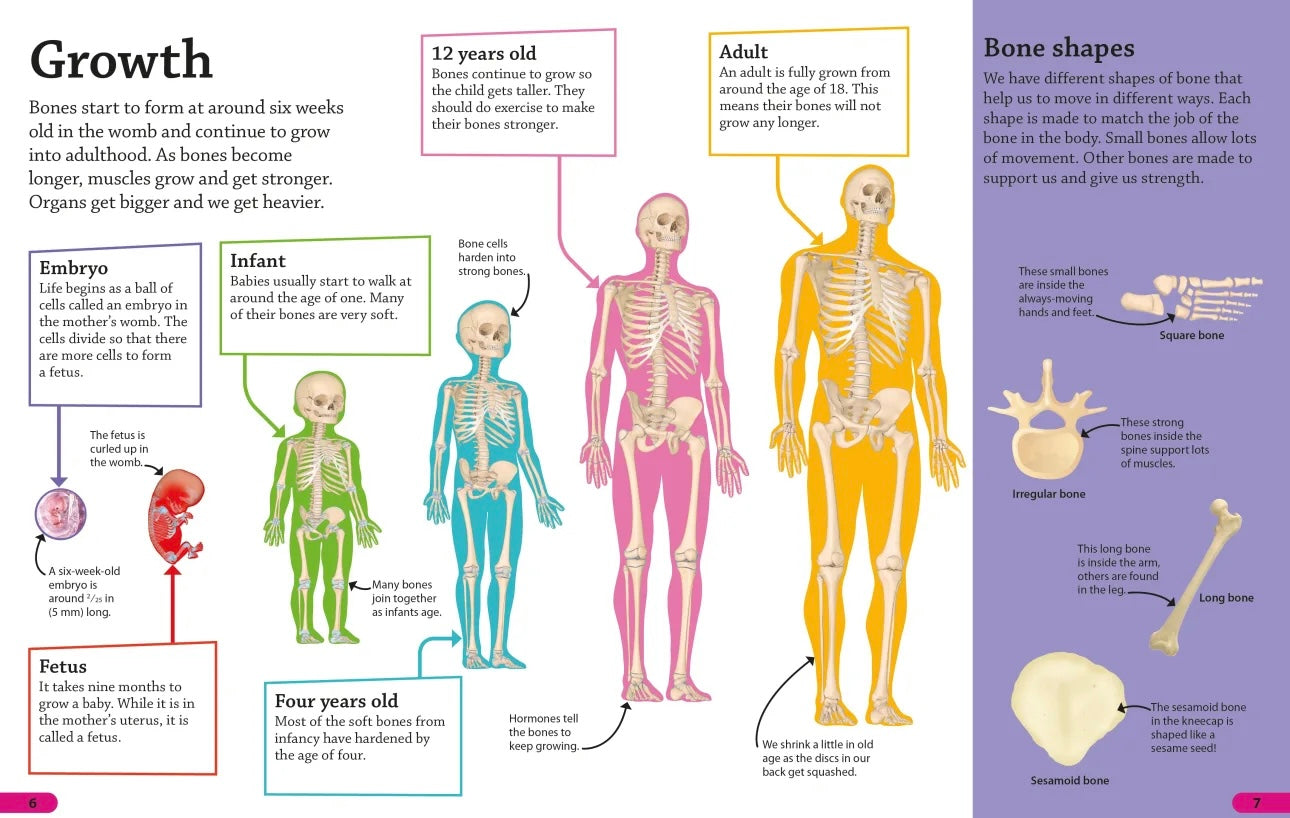 page 7 of book DK human body