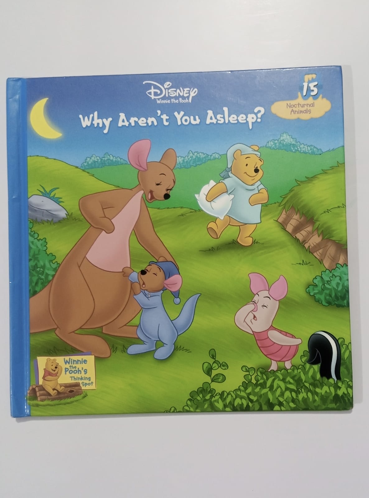 Disney Aren’t you Asleep (preloved)