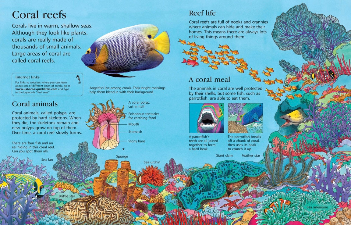 USBORNE First Encyclopedia of Seas and Oceans