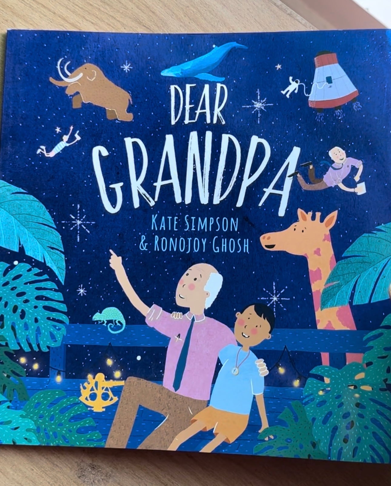 Dear Grandpa by Kate Simpson