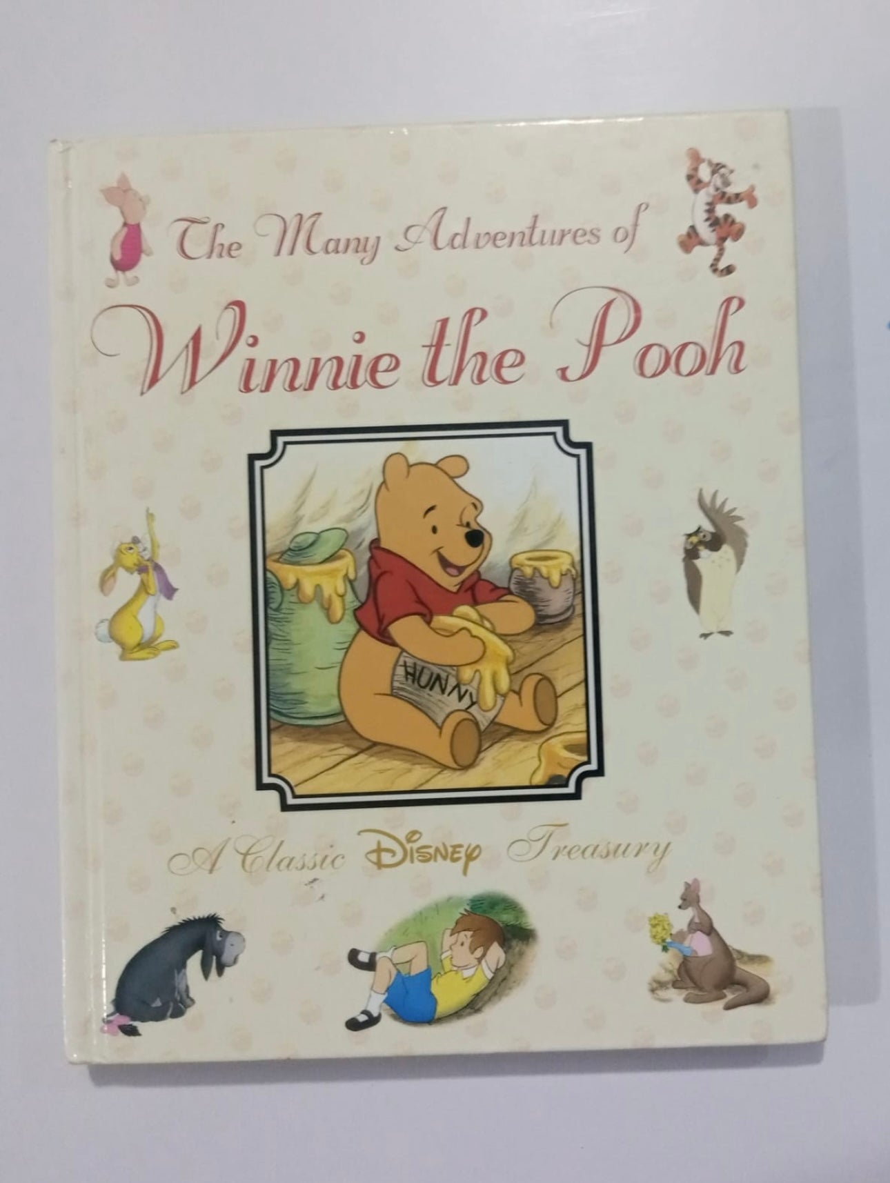 The many adventures of Winnie the Pooh (preloved)