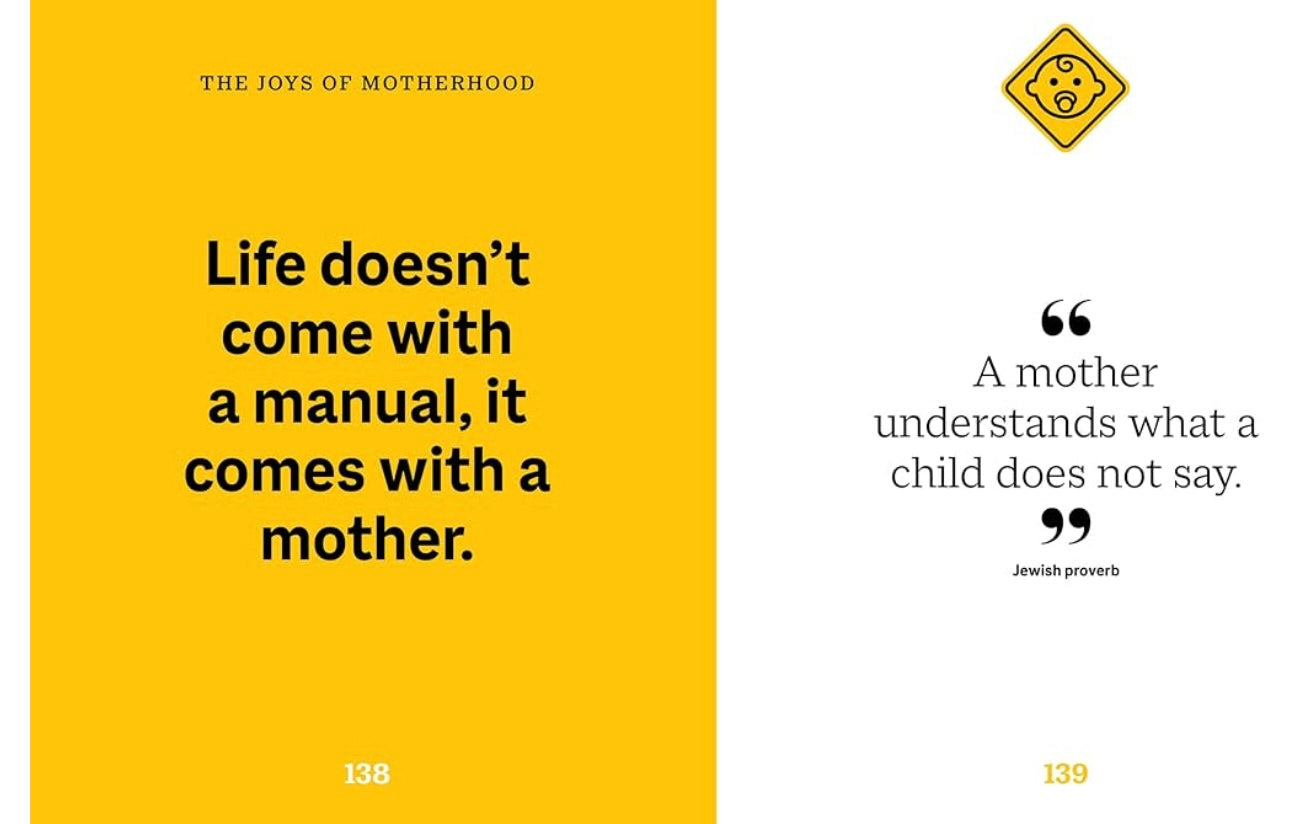 The Little Book of Surviving Motherhood