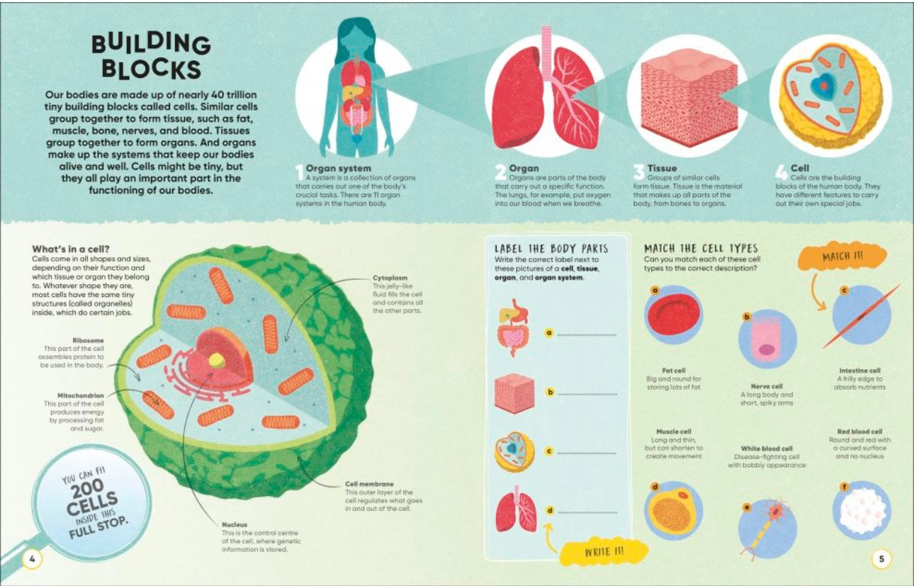 DK Human Body Over 100 Brain-Boosting Activities