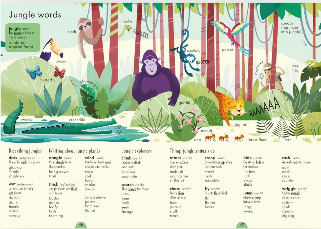 USBORNE Junior Illustrated Thesaurus
