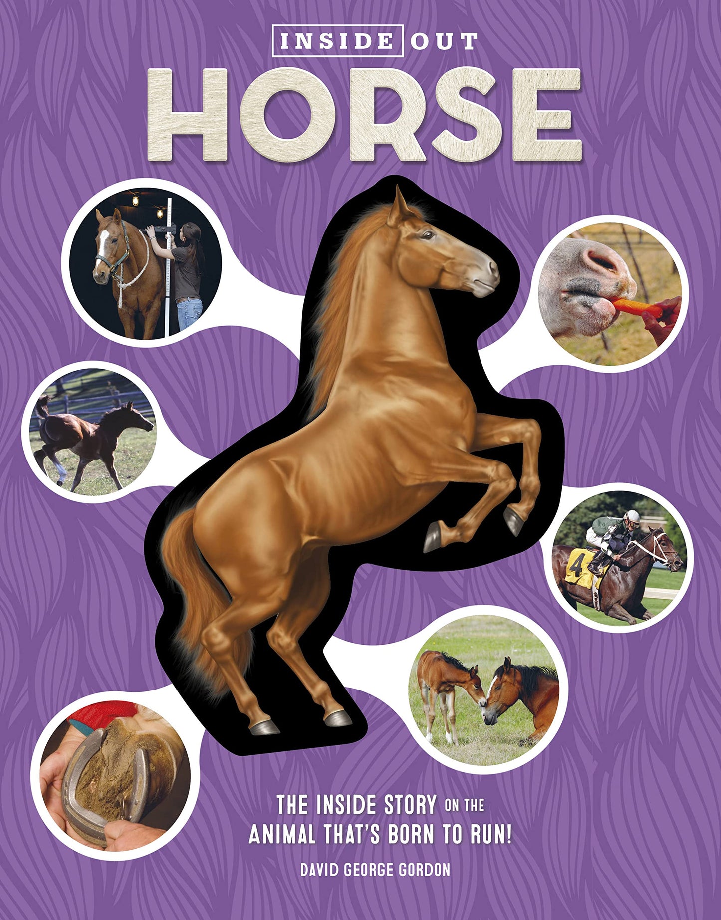 Inside Out Horse: The Inside Story on the Animal That's Born to Run!