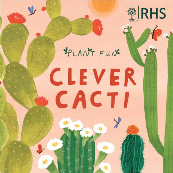 PLANT FUN: CLEVER CACTI