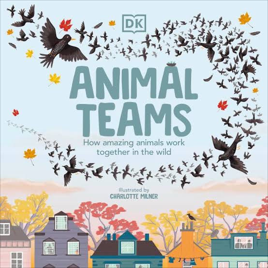 DK Animal Teams