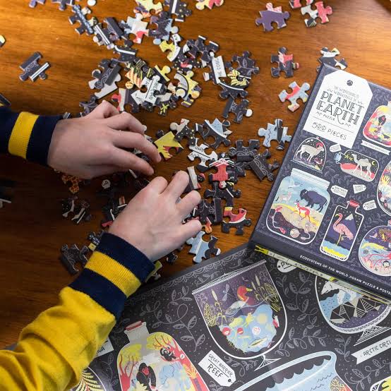 Kid playing The Wondrous Workings of Planet Earth Puzzle