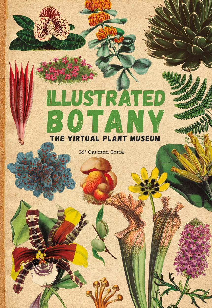Illustrated Botany: The Virtual Plant Museum book cover