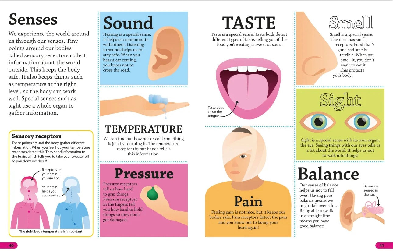 page 41 of book DK human body