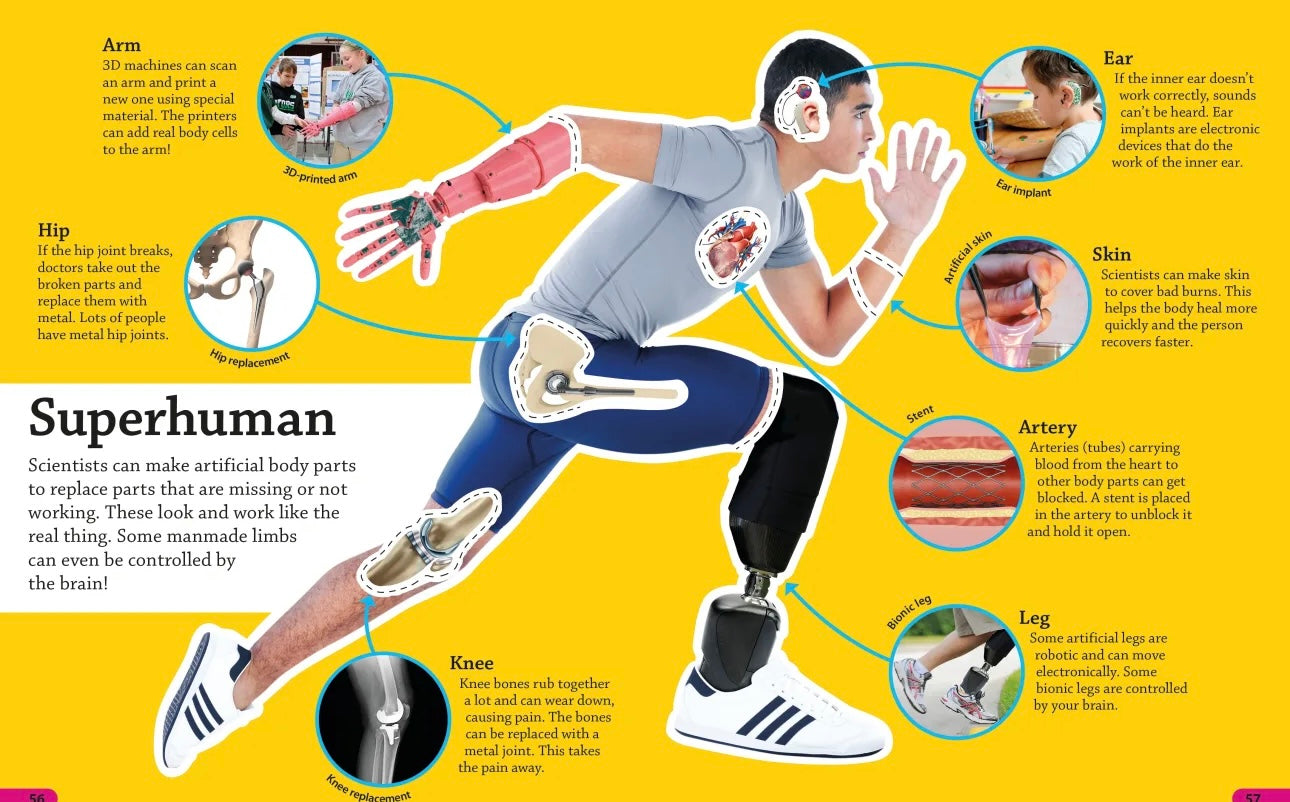 page 57 of book DK human body