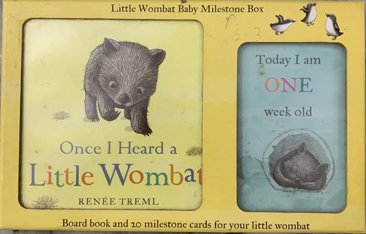 Little Wombat Baby Milestone Box