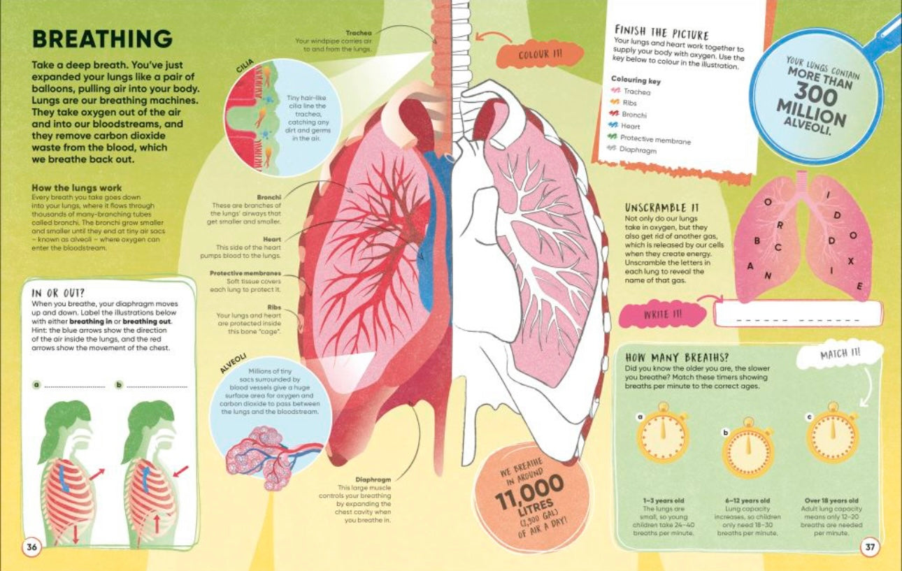 DK Human Body Over 100 Brain-Boosting Activities