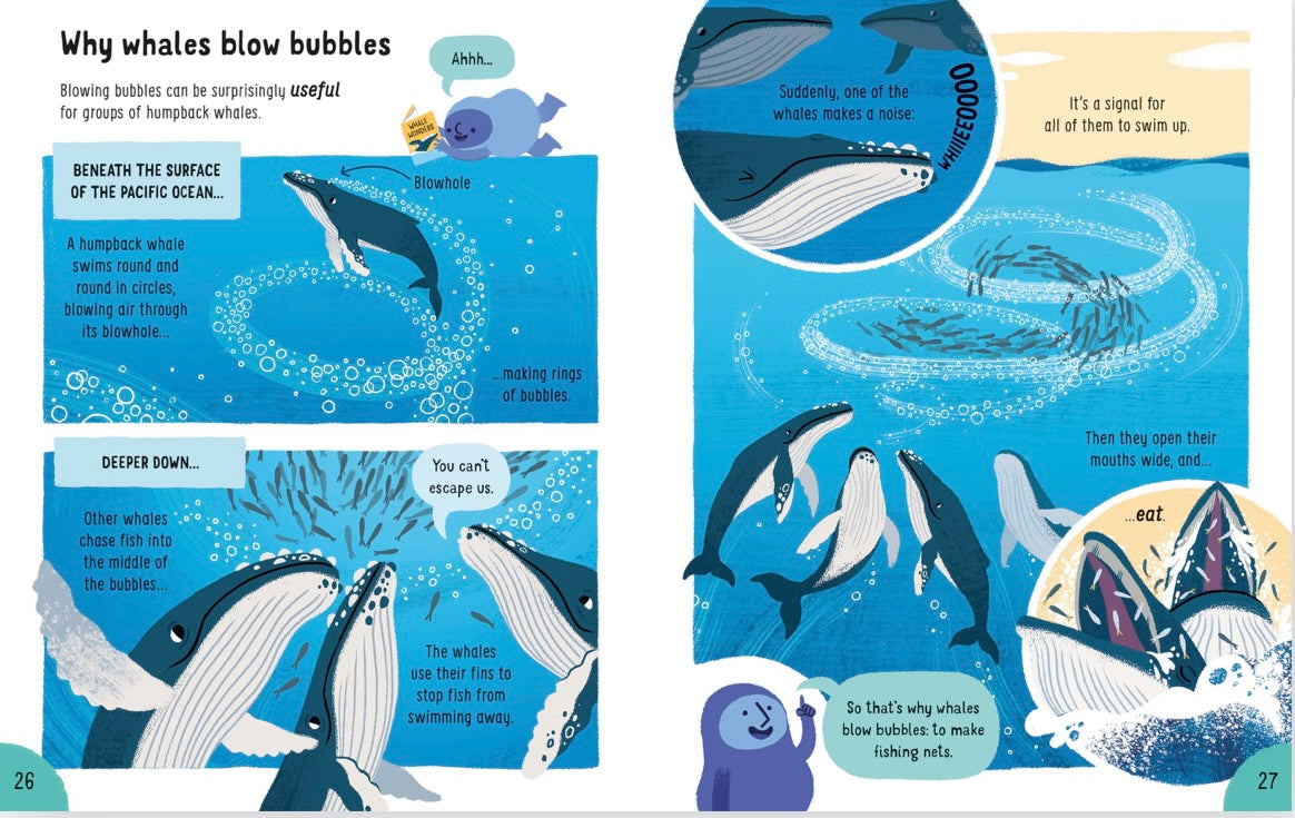 USBORNE Lots of Things to Know About Animals