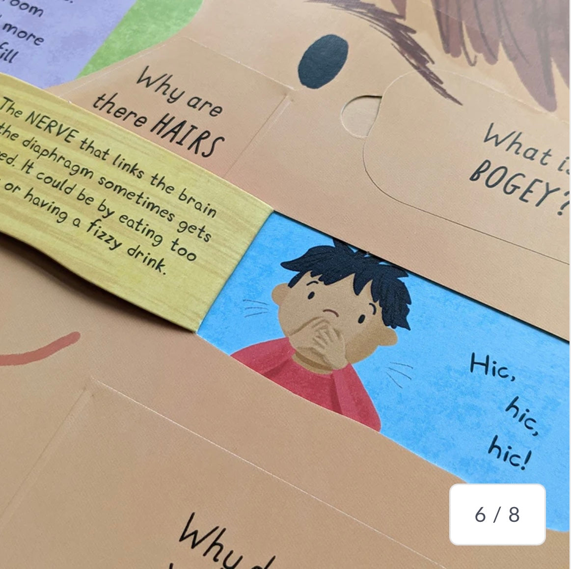 How Does The Human Body Work? - Children’s Question & Answer Book