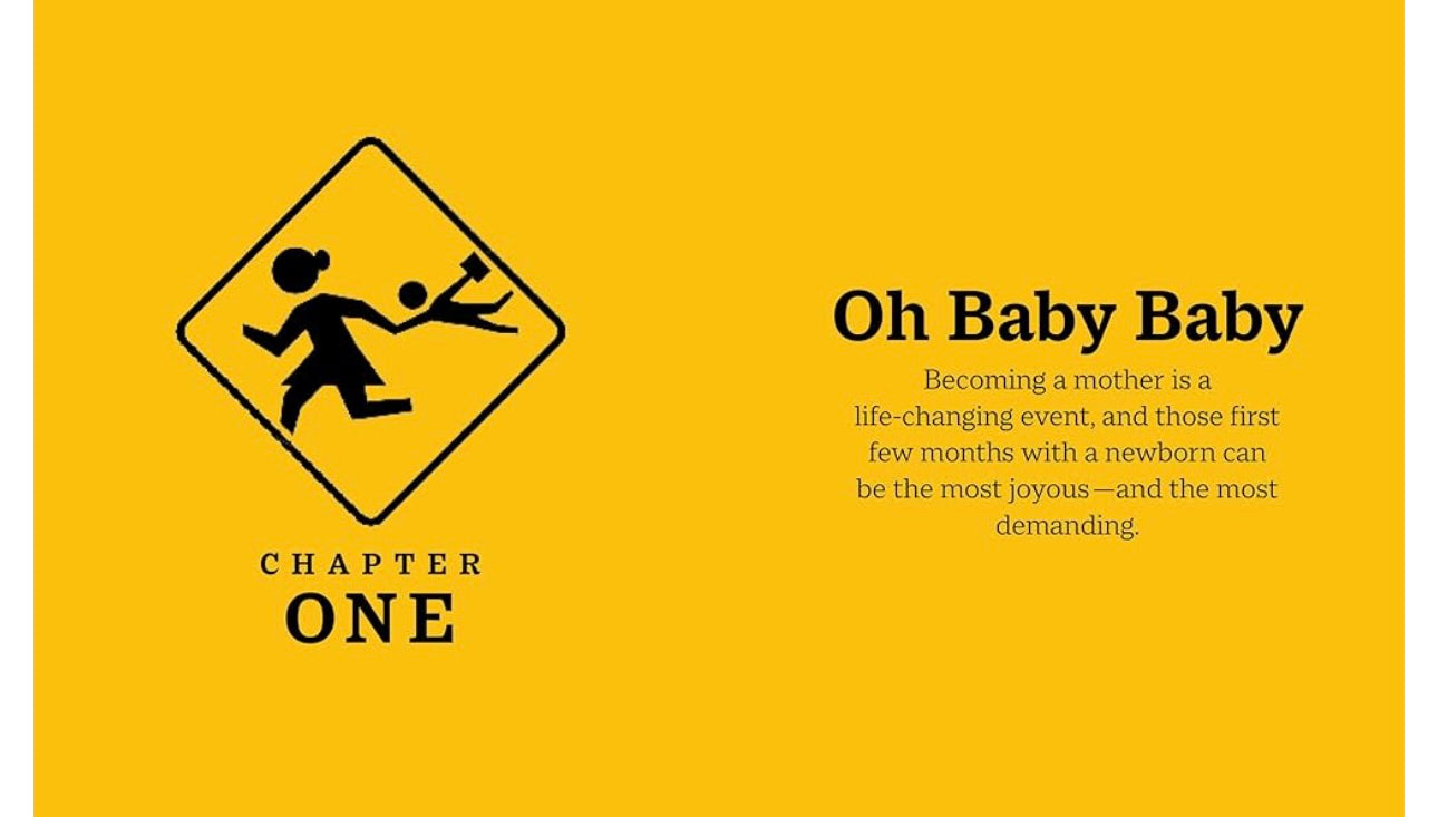 The Little Book of Surviving Motherhood