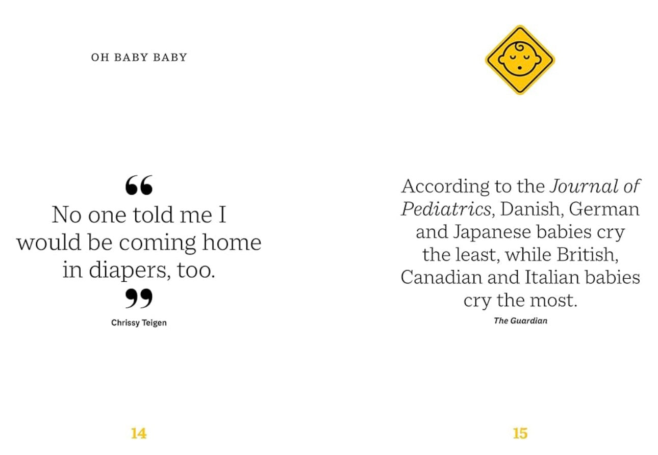 The Little Book of Surviving Motherhood