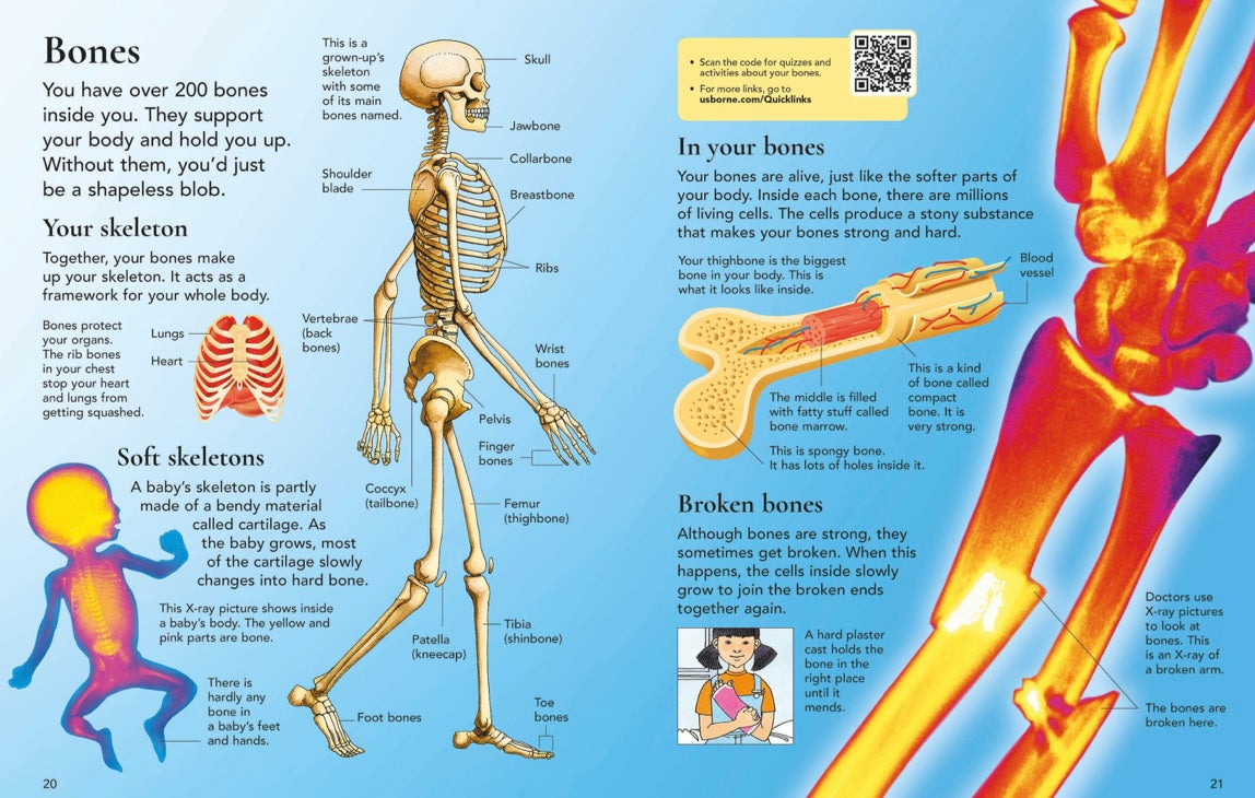 USBORNE First Encyclopedia of the Human Body