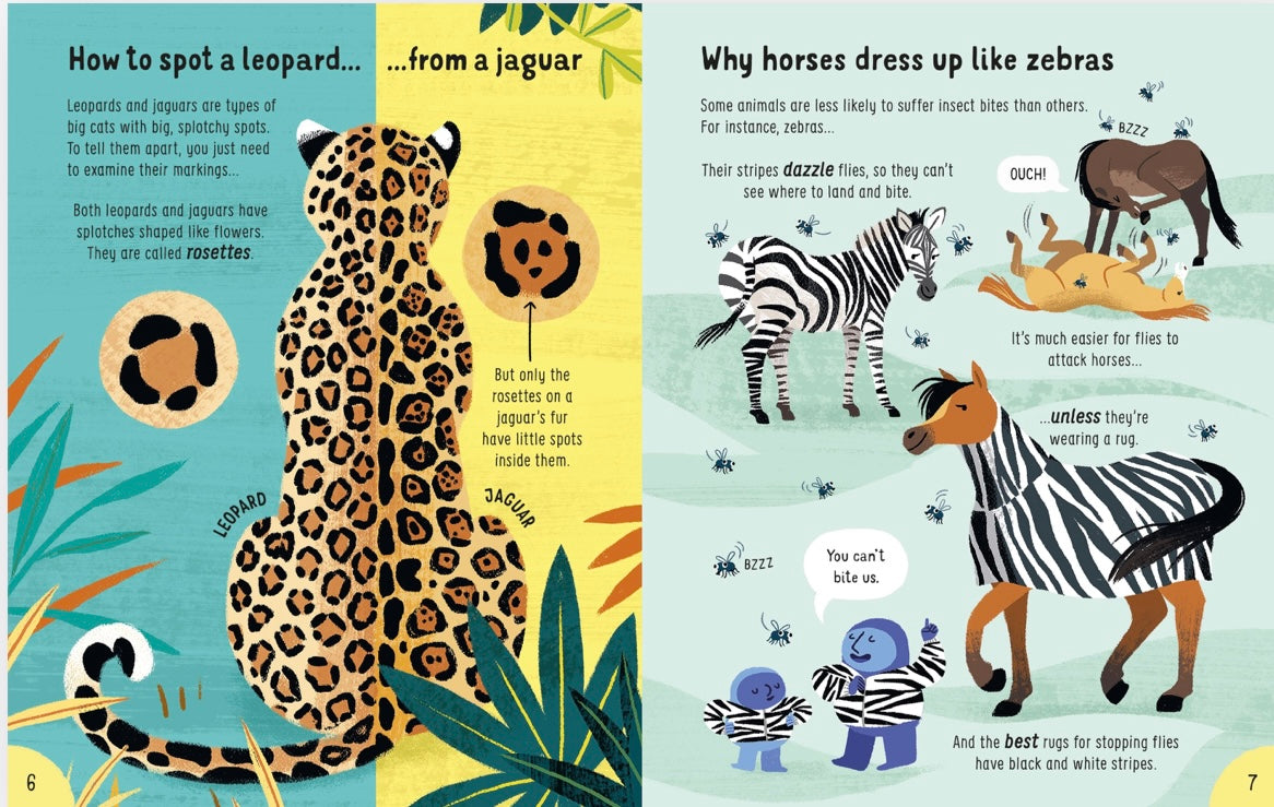 USBORNE Lots of Things to Know About Animals