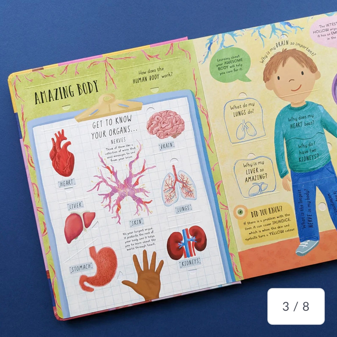 How Does The Human Body Work? - Children’s Question & Answer Book