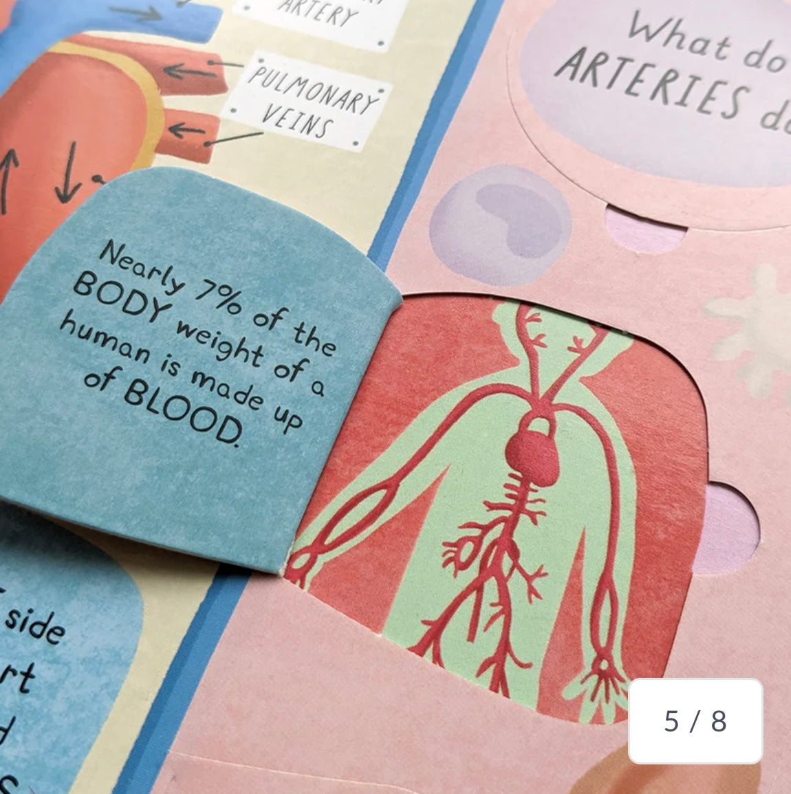 How Does The Human Body Work? - Children’s Question & Answer Book