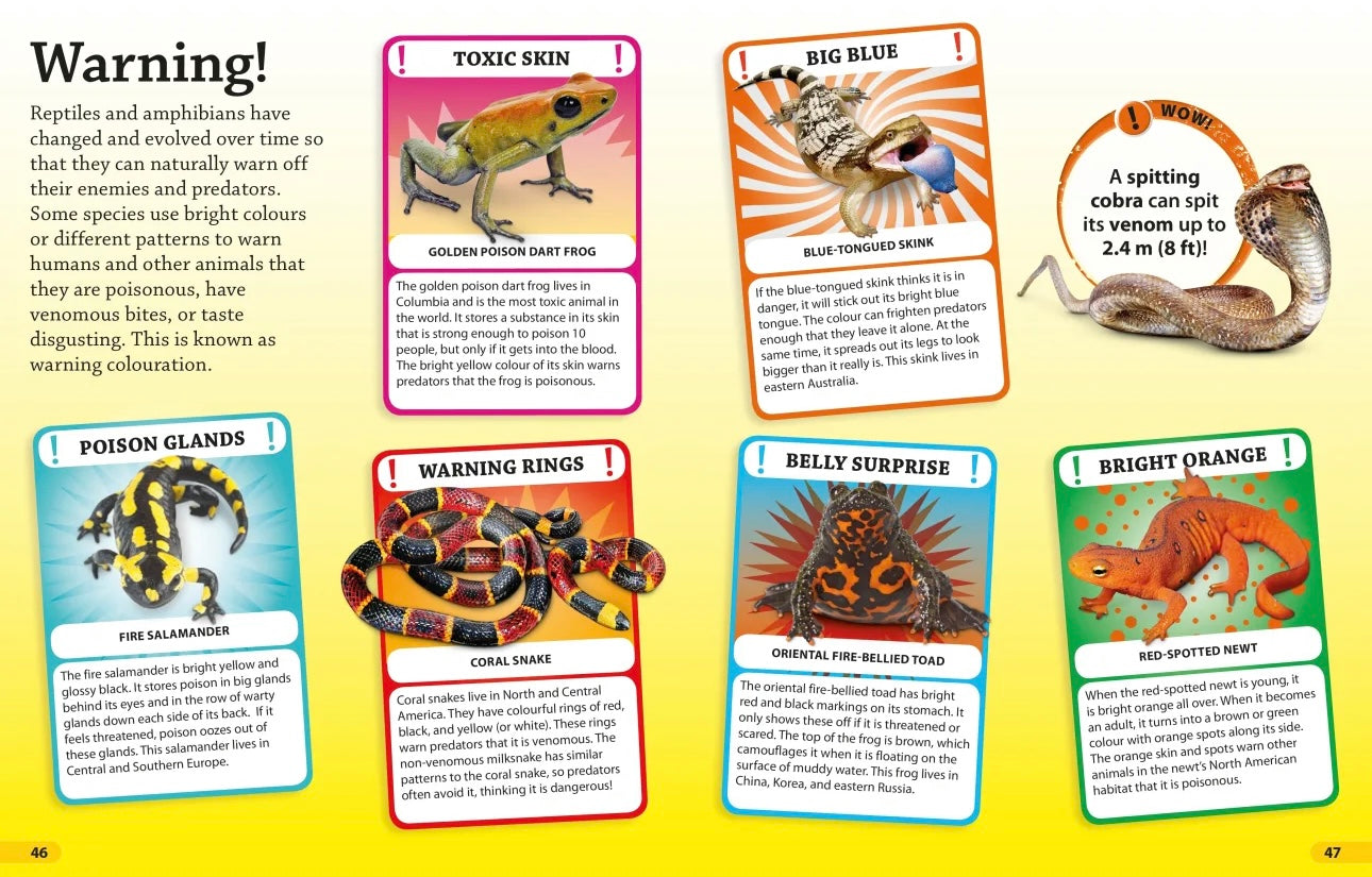 DK find out! Reptiles and Amphibians