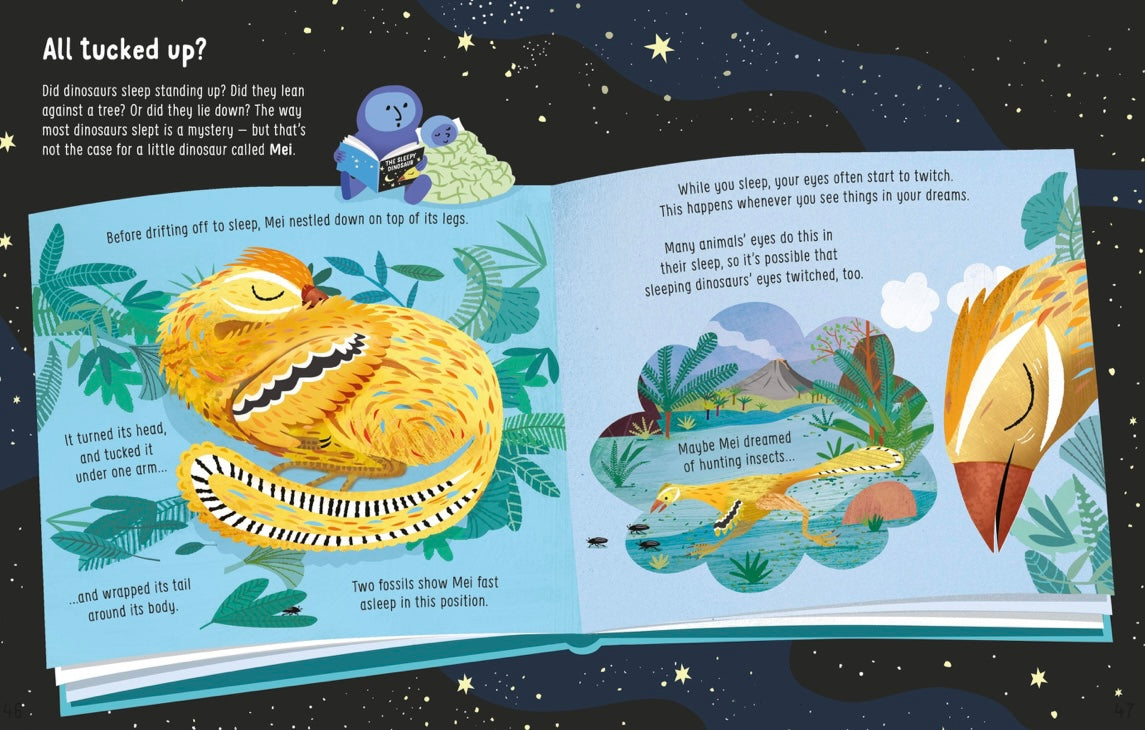 USBORNE Lots of Things to Know About Dinosaurs