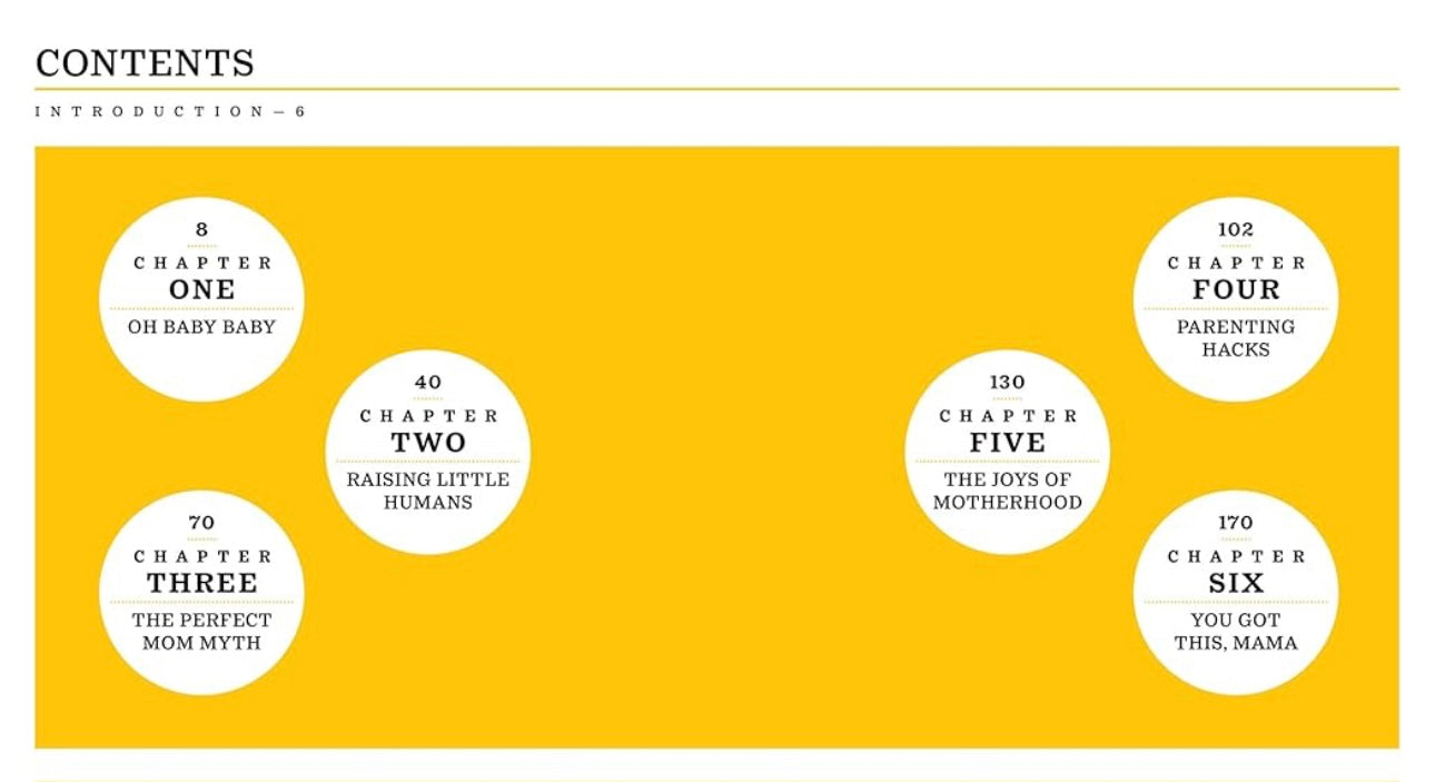 The Little Book of Surviving Motherhood