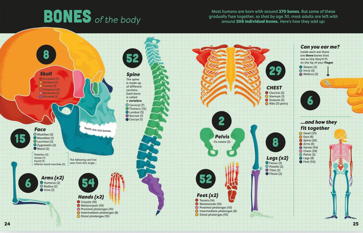 USBORNE Big Book of Facts (damaged)