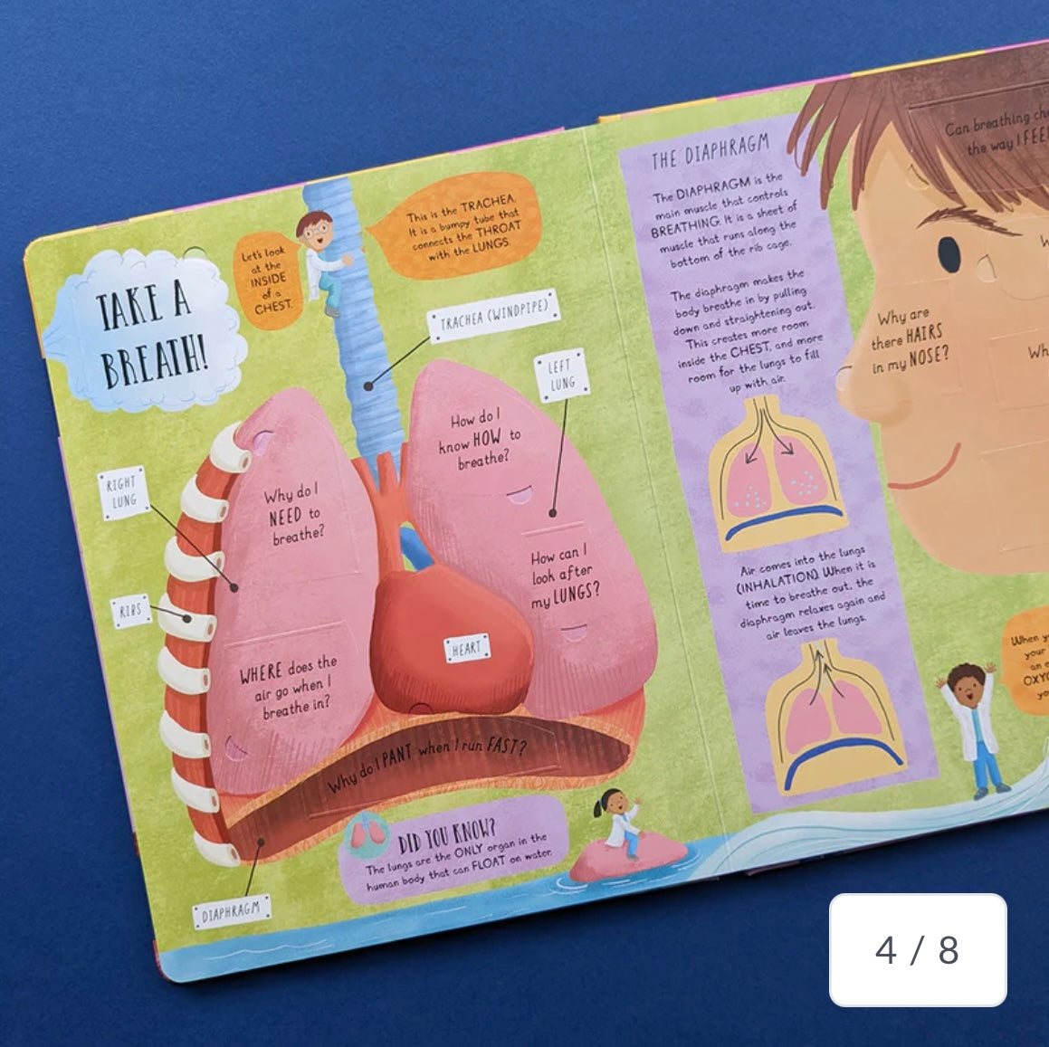 How Does The Human Body Work? - Children’s Question & Answer Book