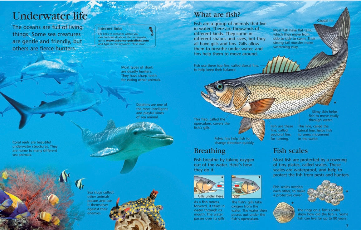 USBORNE First Encyclopedia of Seas and Oceans