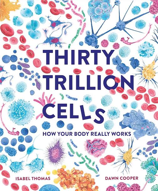 Thirty Trillion Cells book cover by Isabel Thomas and Dawn Cooper