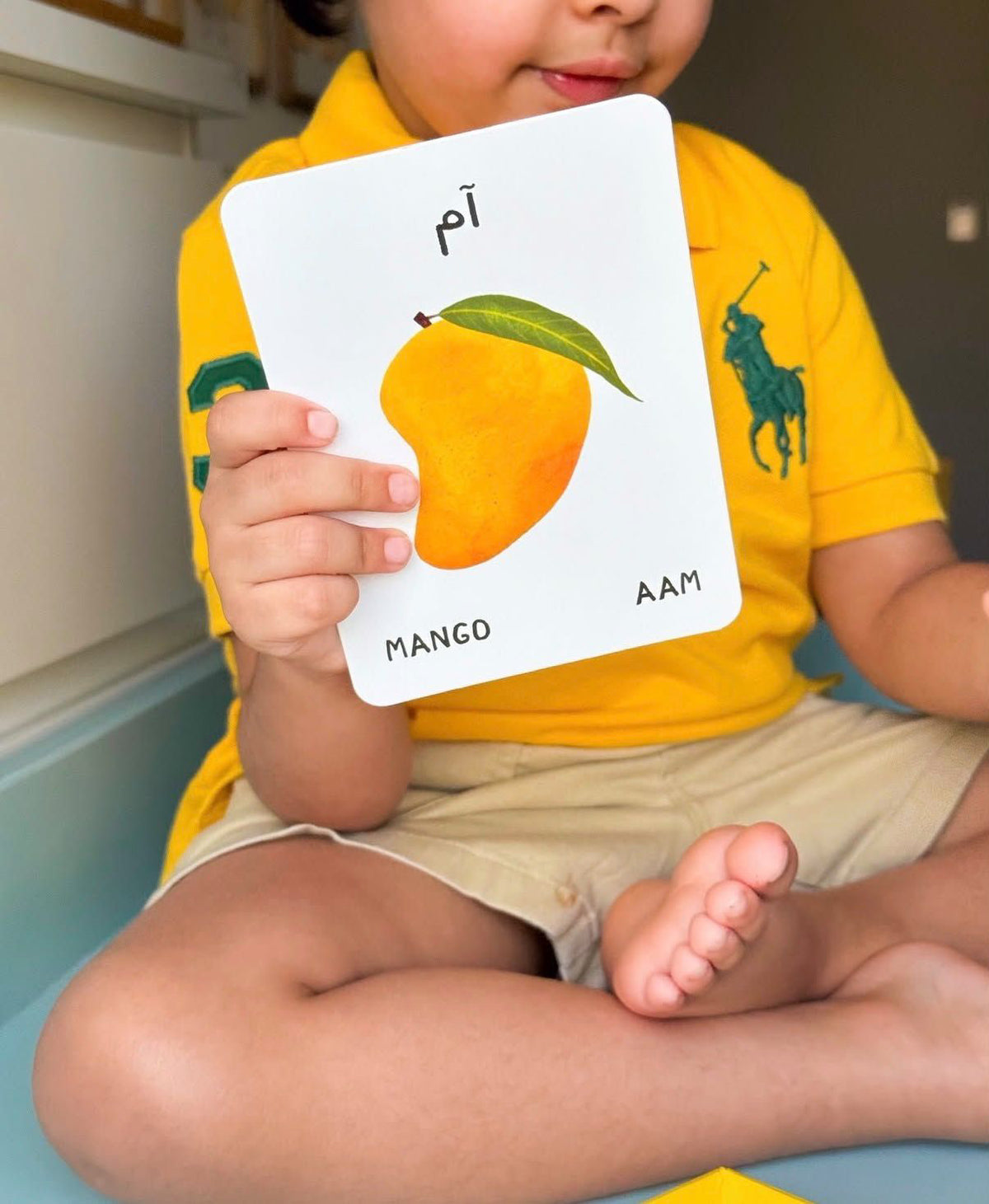 Urdu English Flash cards with Fun riddles