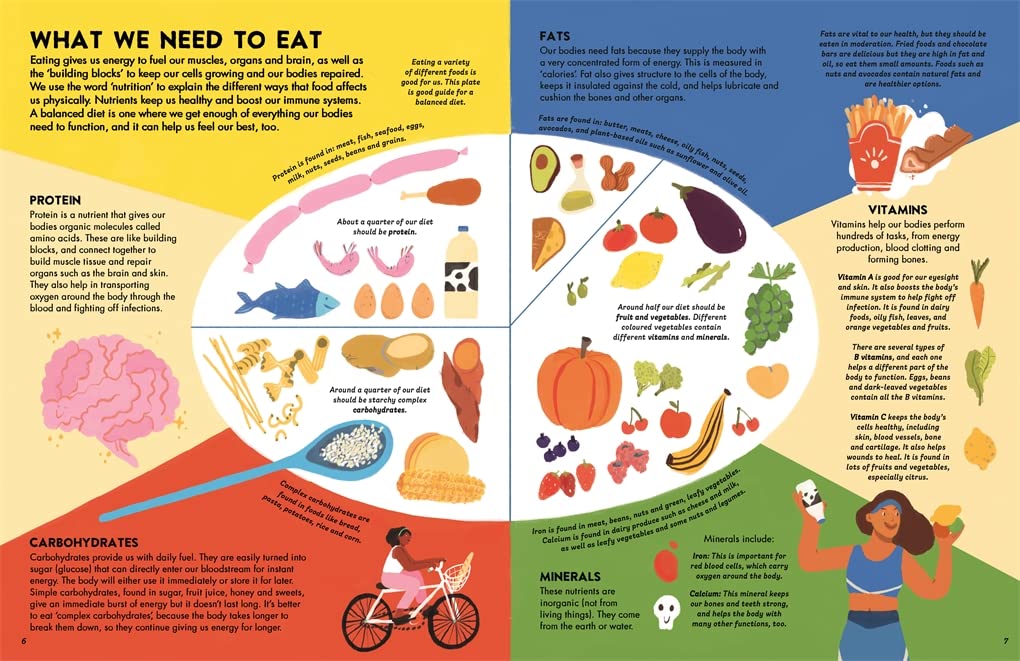 World of Food: A delicious discovery of the foods we eat
