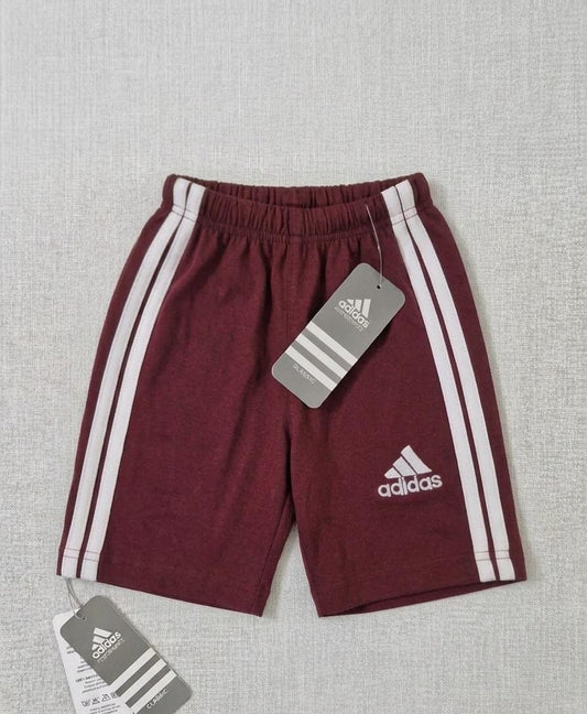 Daily wear shorts